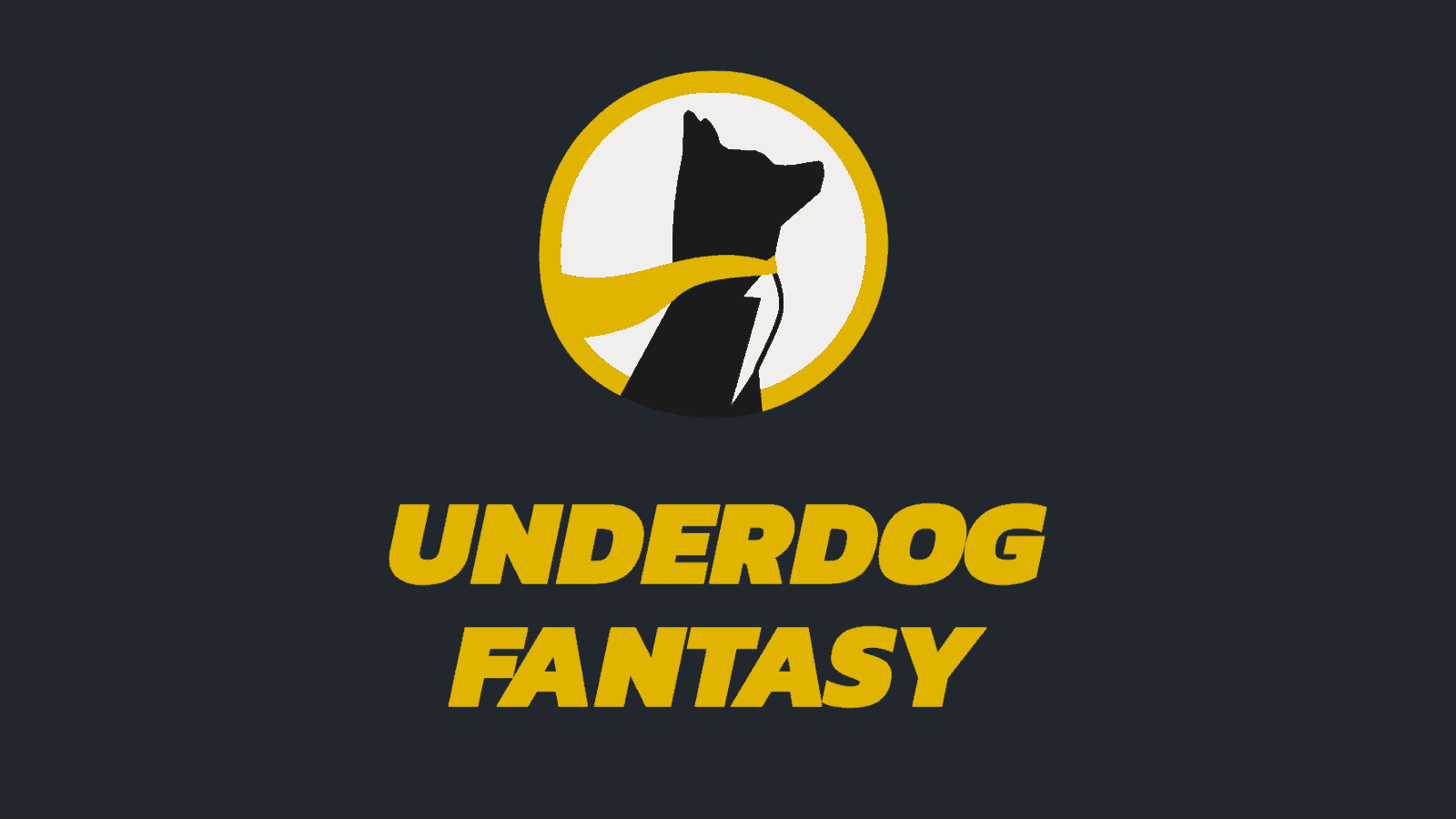 Underdog Fantasy Promo Code: HANDLE - $100 Bonus (January 2024)