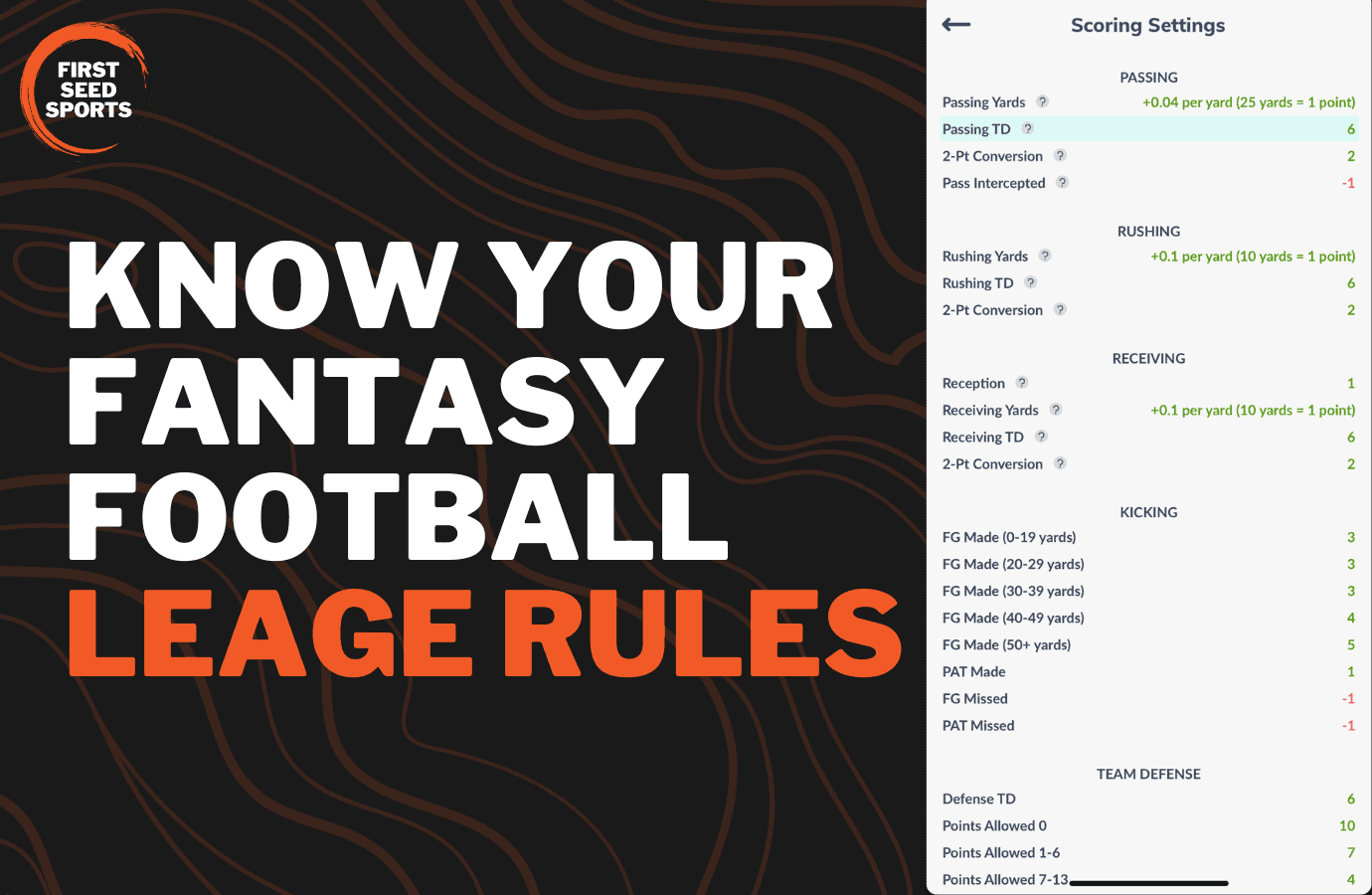 IDP Scoring System for Fantasy Football Leagues